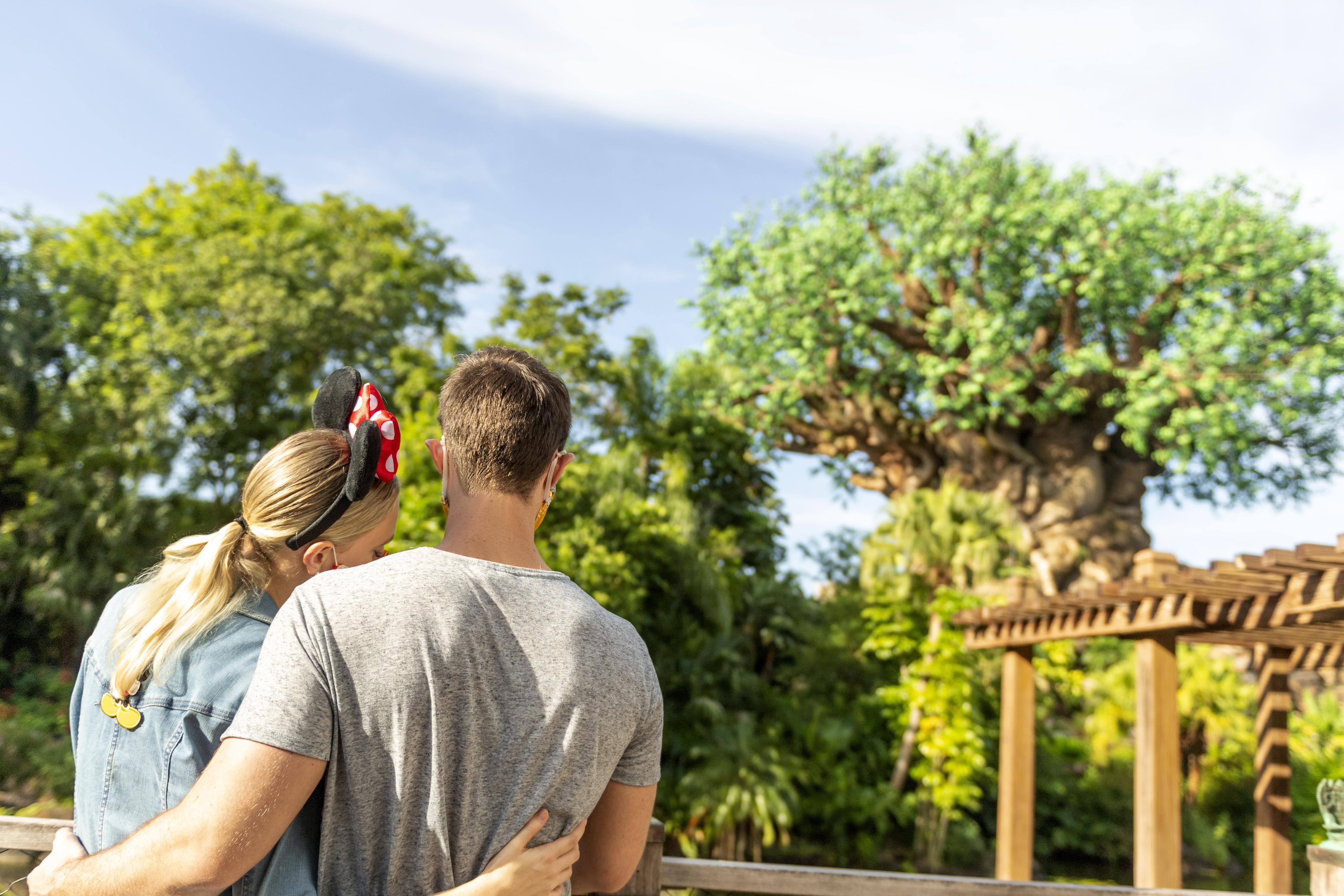 Disney'S All-Star Music Resort Лейк-Буэна-Виста Экстерьер фото